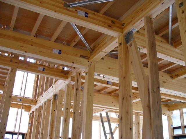 住まいの本当の話 ― 食べ物の有害物質は気になるけど・・・